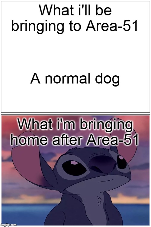 Met my new Alien friend i stole from Area-51: | What i'll be bringing to Area-51; A normal dog; What i'm bringing home after Area-51 | image tagged in memes,blank comic panel 1x2 | made w/ Imgflip meme maker