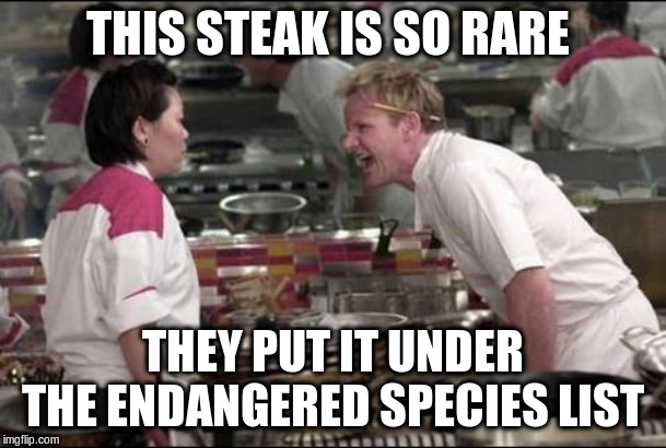 Angry Chef Gordon Ramsay | THIS STEAK IS SO RARE; THEY PUT IT UNDER THE ENDANGERED SPECIES LIST | image tagged in memes,angry chef gordon ramsay | made w/ Imgflip meme maker