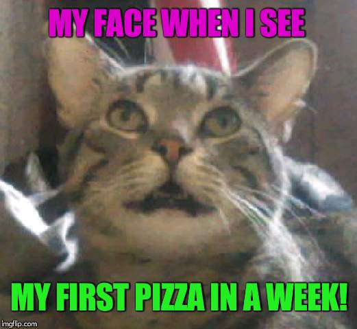 Blank Out Kitty | MY FACE WHEN I SEE; MY FIRST PIZZA IN A WEEK! | image tagged in blank out kitty | made w/ Imgflip meme maker