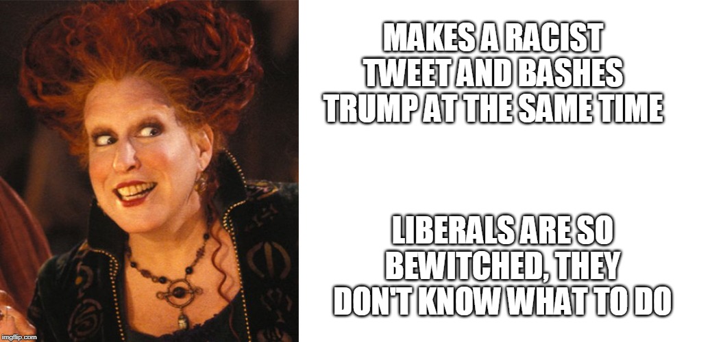 The Genius of Bette Midler | MAKES A RACIST TWEET AND BASHES TRUMP AT THE SAME TIME; LIBERALS ARE SO BEWITCHED, THEY DON'T KNOW WHAT TO DO | image tagged in bette midler,hocus pocus | made w/ Imgflip meme maker