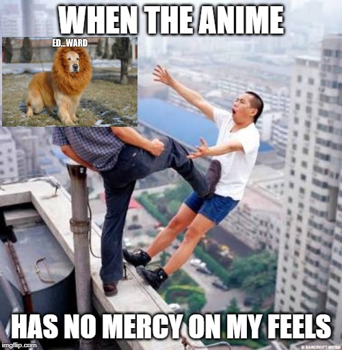 Anime Tears | WHEN THE ANIME; HAS NO MERCY ON MY FEELS | image tagged in idea killer,fma,feelings,emotions,murder | made w/ Imgflip meme maker