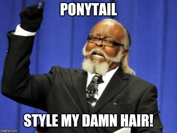 Too Damn High Meme | PONYTAIL; STYLE MY DAMN HAIR! | image tagged in memes,too damn high | made w/ Imgflip meme maker