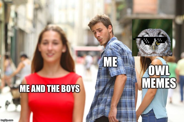 Distracted Boyfriend Meme | ME; OWL MEMES; ME AND THE BOYS | image tagged in memes,distracted boyfriend | made w/ Imgflip meme maker