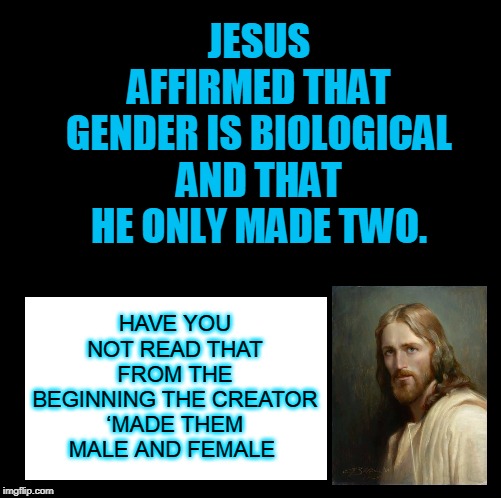 JESUS AFFIRMED THAT
GENDER IS BIOLOGICAL
AND THAT HE ONLY MADE TWO. HAVE YOU NOT READ THAT FROM THE BEGINNING THE CREATOR ‘MADE THEM MALE AND FEMALE | made w/ Imgflip meme maker