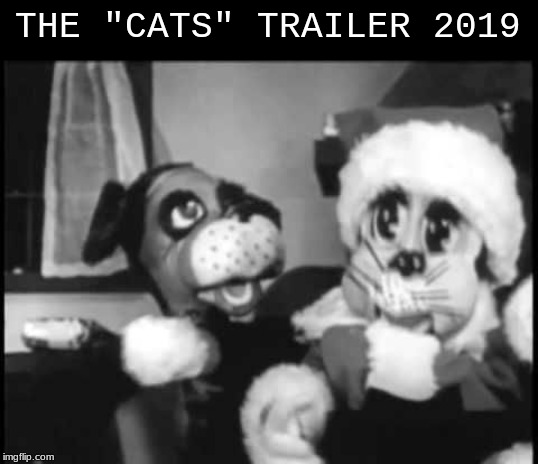 THE "CATS" TRAILER 2019 | image tagged in cats | made w/ Imgflip meme maker