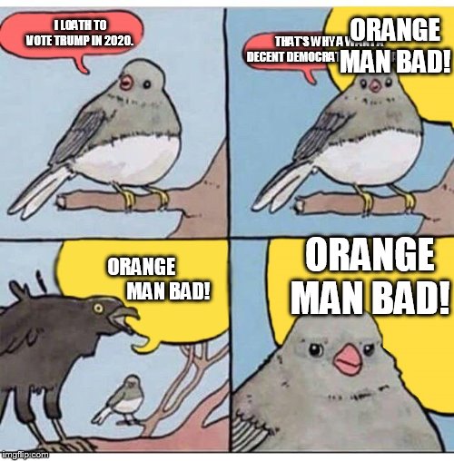 We need decent democrats too. | ORANGE MAN BAD! I LOATH TO VOTE TRUMP IN 2020. THAT'S WHY A WANT A DECENT DEMOCRATIC CANDIDATE. ORANGE MAN BAD! ORANGE 
             MAN BAD! | image tagged in annoyed bird | made w/ Imgflip meme maker