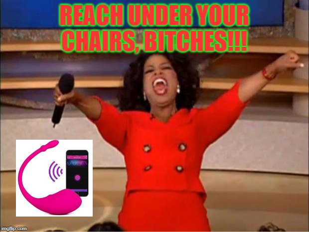 Oprah You Get A Meme | REACH UNDER YOUR CHAIRS, BITCHES!!! | image tagged in memes,oprah you get a | made w/ Imgflip meme maker