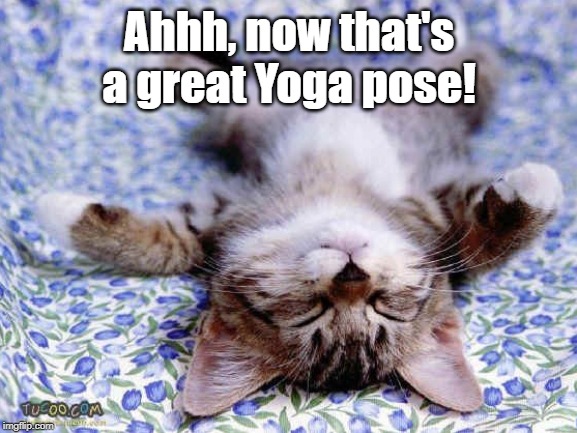 UpsideDwon Sleeping Cat | Ahhh, now that's a great Yoga pose! | image tagged in upsidedwon sleeping cat | made w/ Imgflip meme maker