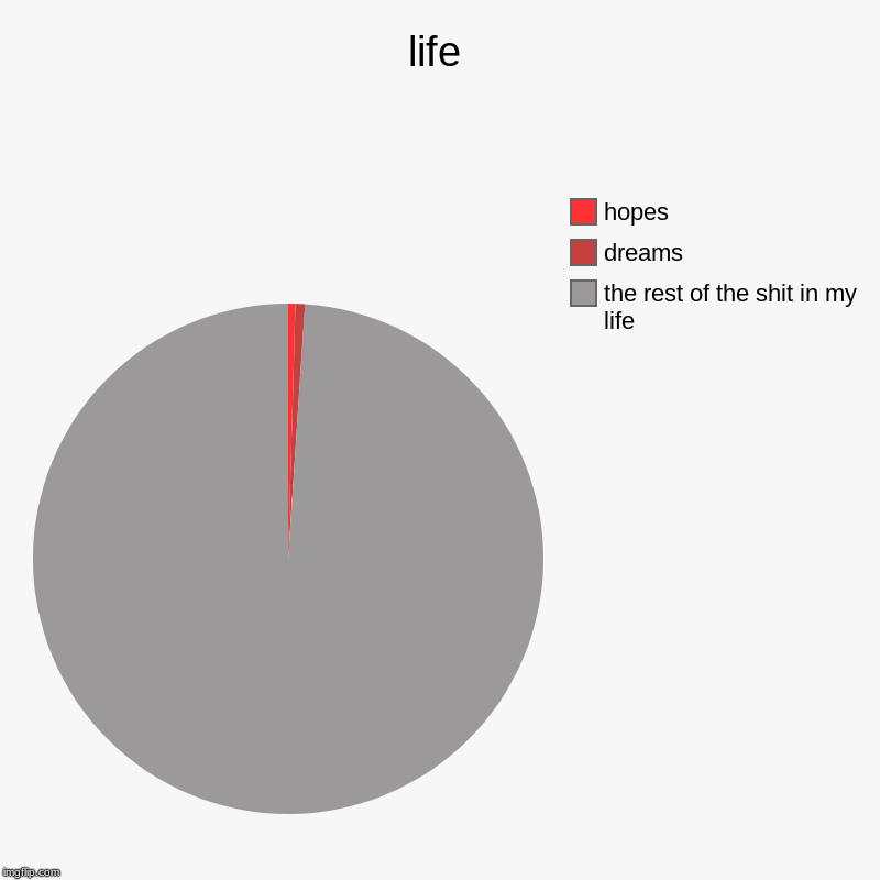 life | the rest of the shit in my life, dreams, hopes | image tagged in charts,pie charts | made w/ Imgflip chart maker