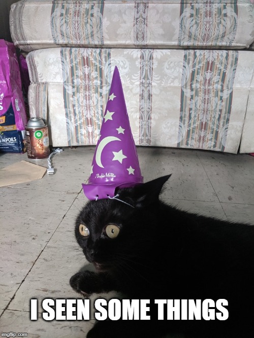 Traumatized Wizard Cat | I SEEN SOME THINGS | image tagged in traumatized wizard cat | made w/ Imgflip meme maker