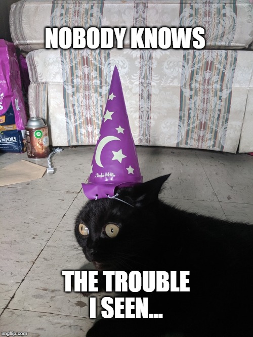 Traumatized Wizard Cat | NOBODY KNOWS; THE TROUBLE I SEEN... | image tagged in traumatized wizard cat | made w/ Imgflip meme maker