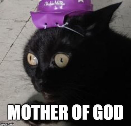 Traumatized Wizard Cat 2 | MOTHER OF GOD | image tagged in traumatized wizard cat 2 | made w/ Imgflip meme maker