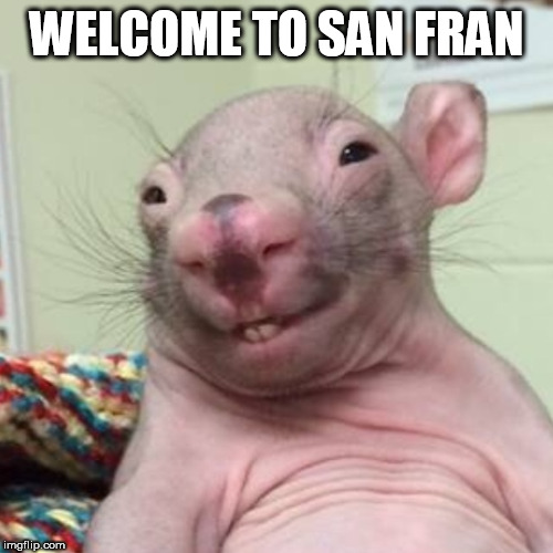rata2155125 | WELCOME TO SAN FRAN | image tagged in rata2155125 | made w/ Imgflip meme maker