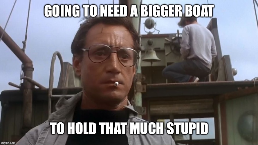 Going to need a bigger boat | GOING TO NEED A BIGGER BOAT TO HOLD THAT MUCH STUPID | image tagged in going to need a bigger boat | made w/ Imgflip meme maker