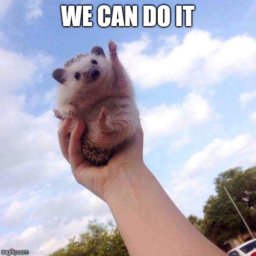 Motivational Hedgehog is Motivational | WE CAN DO IT | image tagged in motivational hedgehog is motivational | made w/ Imgflip meme maker