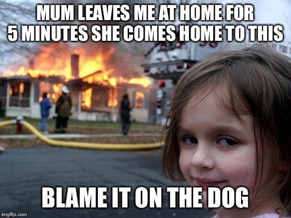 Disaster Girl | MUM LEAVES ME AT HOME FOR 5 MINUTES SHE COMES HOME TO THIS; BLAME IT ON THE DOG | image tagged in memes,disaster girl | made w/ Imgflip meme maker
