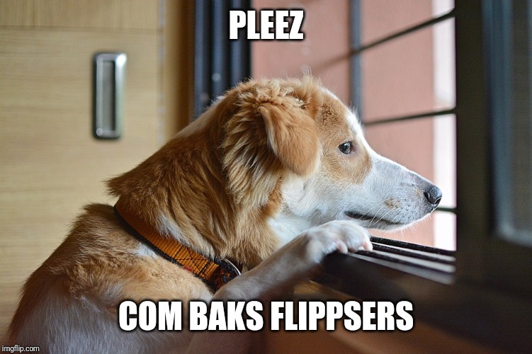 PLEEZ COM BAKS FLIPPSERS | made w/ Imgflip meme maker