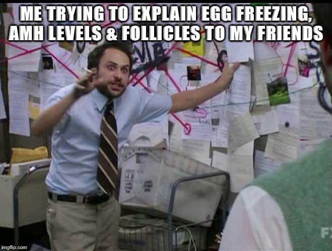 Trying to explain | ME TRYING TO EXPLAIN EGG FREEZING, AMH LEVELS & FOLLICLES TO MY FRIENDS | image tagged in trying to explain | made w/ Imgflip meme maker
