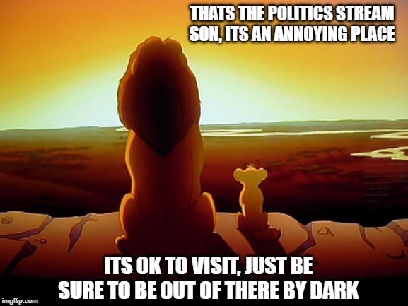 Lion King Meme | THATS THE POLITICS STREAM SON, ITS AN ANNOYING PLACE ITS OK TO VISIT, JUST BE SURE TO BE OUT OF THERE BY DARK | image tagged in memes,lion king | made w/ Imgflip meme maker