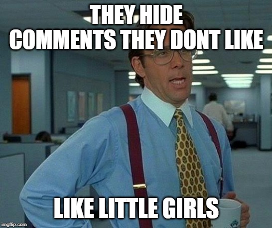That Would Be Great Meme | THEY HIDE COMMENTS THEY DONT LIKE LIKE LITTLE GIRLS | image tagged in memes,that would be great | made w/ Imgflip meme maker