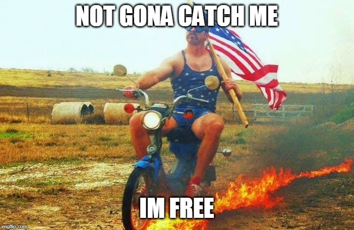 'merica scooter | NOT GONA CATCH ME IM FREE | image tagged in 'merica scooter | made w/ Imgflip meme maker