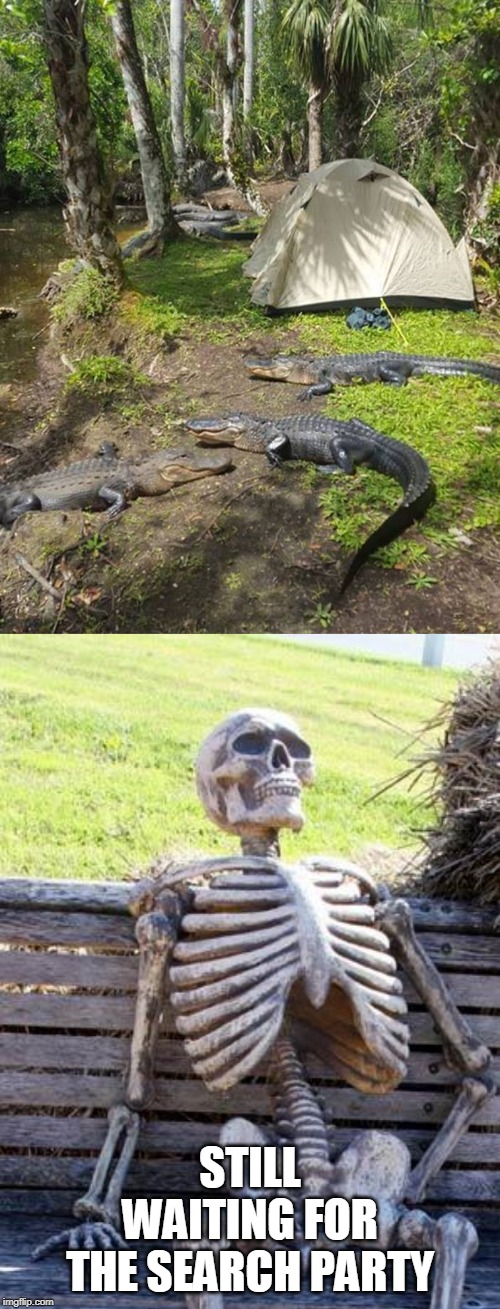 CAMPING WITH GATORS | STILL WAITING FOR THE SEARCH PARTY | image tagged in memes,waiting skeleton,camping | made w/ Imgflip meme maker