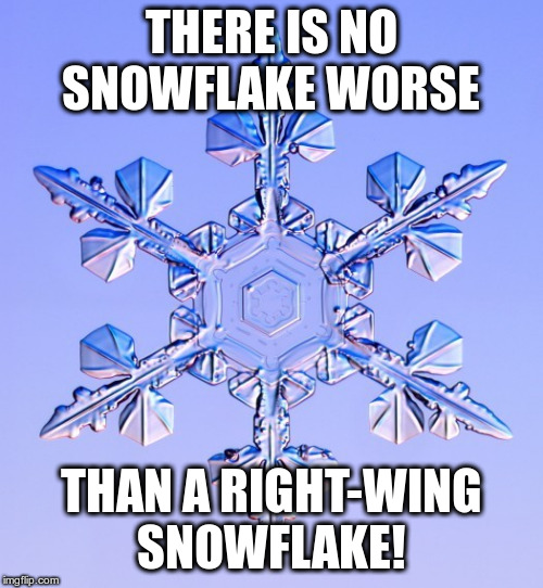 Special snowflake | THERE IS NO SNOWFLAKE WORSE THAN A RIGHT-WING SNOWFLAKE! | image tagged in special snowflake | made w/ Imgflip meme maker