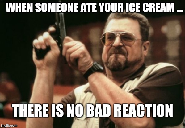 Am I The Only One Around Here Meme | WHEN SOMEONE ATE YOUR ICE CREAM ... THERE IS NO BAD REACTION | image tagged in memes,am i the only one around here | made w/ Imgflip meme maker