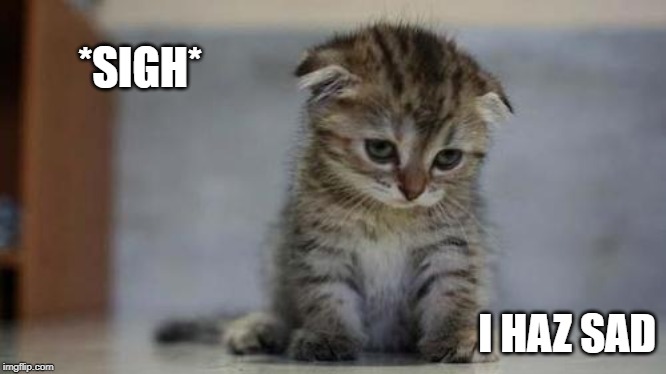 Sad kitten | *SIGH* I HAZ SAD | image tagged in sad kitten | made w/ Imgflip meme maker