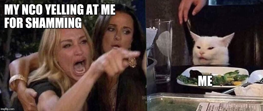 woman yelling at cat | MY NCO YELLING AT ME
FOR SHAMMING; ME | image tagged in woman yelling at cat | made w/ Imgflip meme maker