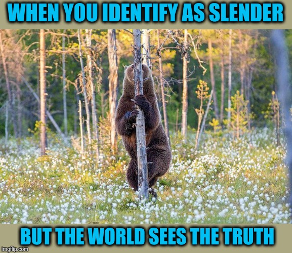 Trans-Intelligent Means Getting Dumber | WHEN YOU IDENTIFY AS SLENDER; BUT THE WORLD SEES THE TRUTH | image tagged in hidden bear | made w/ Imgflip meme maker
