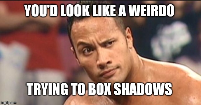 The Rock Eyebrow | YOU'D LOOK LIKE A WEIRDO TRYING TO BOX SHADOWS | image tagged in the rock eyebrow | made w/ Imgflip meme maker