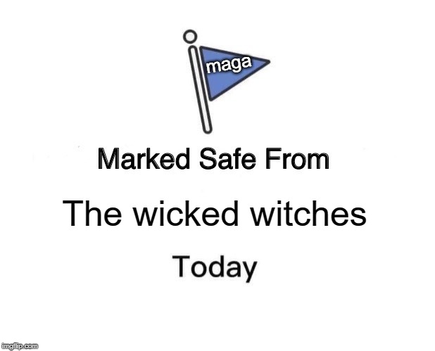 Marked Safe From Meme | The wicked witches maga | image tagged in memes,marked safe from | made w/ Imgflip meme maker