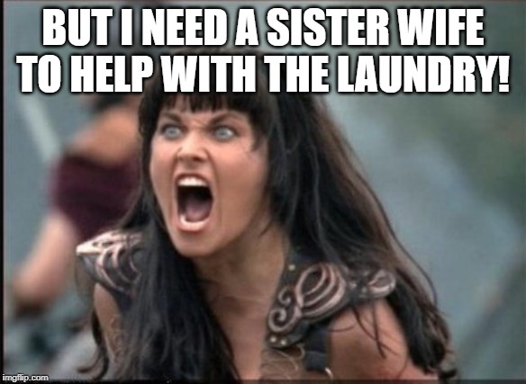 Screaming Woman | BUT I NEED A SISTER WIFE TO HELP WITH THE LAUNDRY! | image tagged in screaming woman | made w/ Imgflip meme maker