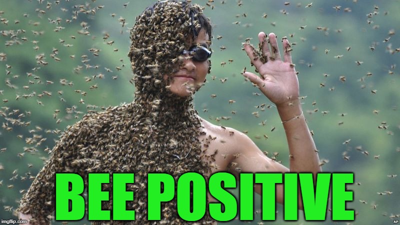 Bees | BEE POSITIVE | image tagged in bees | made w/ Imgflip meme maker