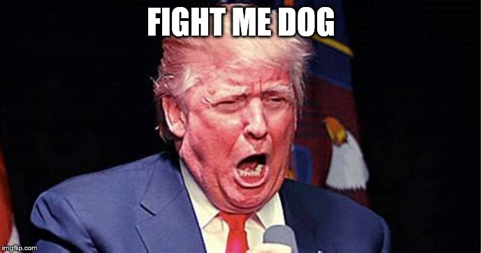 Trump at a Meeting | FIGHT ME DOG | image tagged in funny,memes,funny memes,animals,one does not simply,first world problems | made w/ Imgflip meme maker