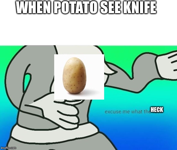 Excuse me, what the fuck | WHEN POTATO SEE KNIFE; HECK | image tagged in excuse me what the fuck | made w/ Imgflip meme maker