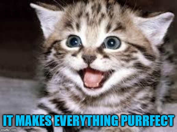 happy cat | IT MAKES EVERYTHING PURRFECT | image tagged in happy cat | made w/ Imgflip meme maker