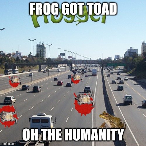 Froggy Frogger Hippos Video Game | FROG GOT TOAD; OH THE HUMANITY | image tagged in froggy frogger hippos video game | made w/ Imgflip meme maker