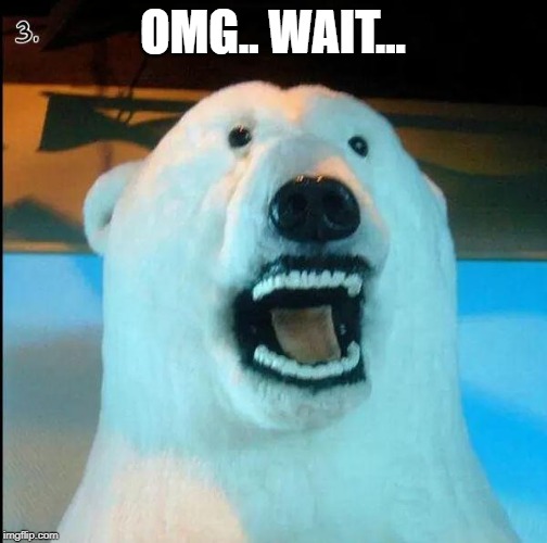 Horrified Polar Bear | OMG.. WAIT... | image tagged in horrified polar bear | made w/ Imgflip meme maker