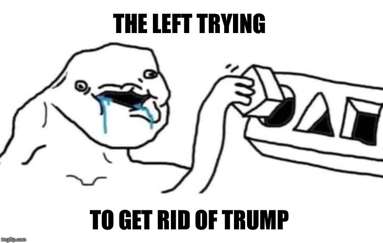 It’s getting funnier and funnier to watch folks! | THE LEFT TRYING; TO GET RID OF TRUMP | image tagged in maga | made w/ Imgflip meme maker