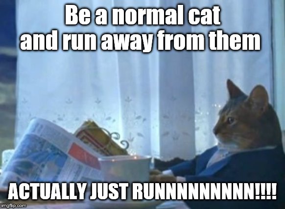 I Should Buy A Boat Cat Meme | Be a normal cat and run away from them ACTUALLY JUST RUNNNNNNNNN!!!! | image tagged in memes,i should buy a boat cat | made w/ Imgflip meme maker