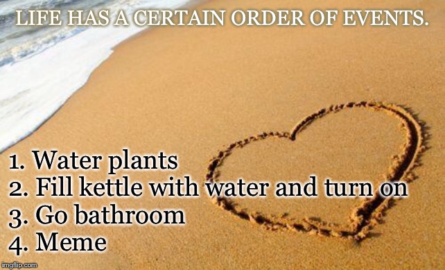 Love, live, and meme |  LIFE HAS A CERTAIN ORDER OF EVENTS. 1. Water plants
2. Fill kettle with water and turn on
3. Go bathroom
4. Meme | image tagged in beach heart,memes | made w/ Imgflip meme maker