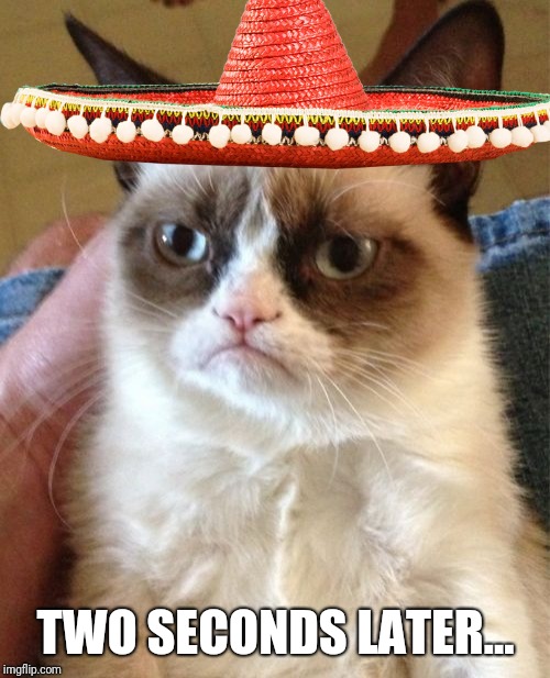 Grumpy Cat Meme | TWO SECONDS LATER... | image tagged in memes,grumpy cat | made w/ Imgflip meme maker