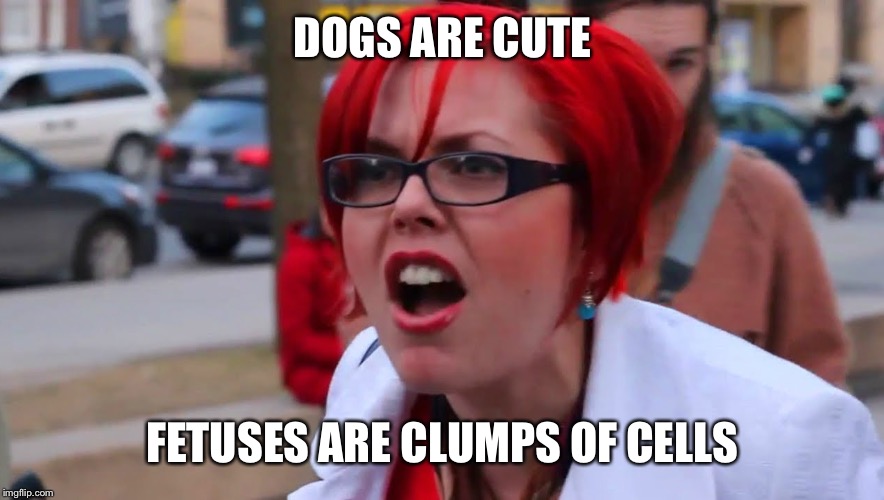 Angry feminist red | DOGS ARE CUTE FETUSES ARE CLUMPS OF CELLS | image tagged in angry feminist red | made w/ Imgflip meme maker