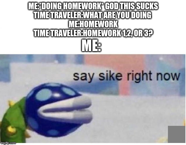 say sike right now | ME:*DOING HOMEWORK* GOD THIS SUCKS
TIME TRAVELER:WHAT ARE YOU DOING 
ME:HOMEWORK
TIME TRAVELER:HOMEWORK 1,2, OR 3? ME: | image tagged in say sike right now | made w/ Imgflip meme maker