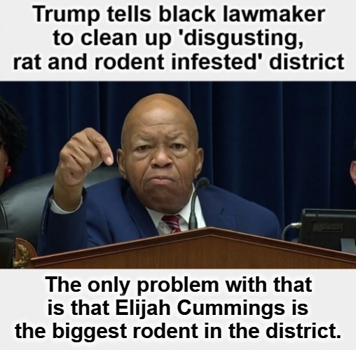 Trump tells black lawmaker to clean up 'disgusting, rat and rodent infested' district | image tagged in rodent,elijah cummings,liberal hypocrisy,democratic socialism,rats,rat pack week | made w/ Imgflip meme maker