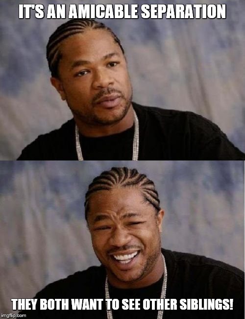 IT'S AN AMICABLE SEPARATION THEY BOTH WANT TO SEE OTHER SIBLINGS! | image tagged in memes,yo dawg heard you,serious xzibit | made w/ Imgflip meme maker