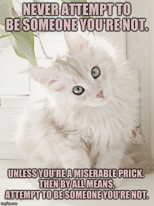 FUTURE PRICK | NEVER ATTEMPT TO BE SOMEONE YOU'RE NOT. UNLESS YOU'RE A MISERABLE PRICK. 
THEN BY ALL MEANS, ATTEMPT TO BE SOMEONE YOU'RE NOT. | image tagged in future prick | made w/ Imgflip meme maker