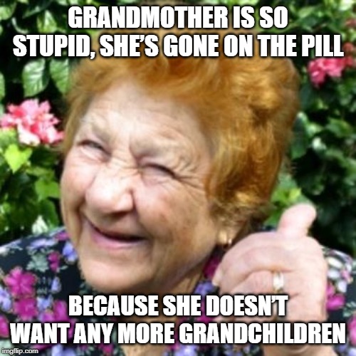 You've Got Nothing to Worry About Granny | GRANDMOTHER IS SO STUPID, SHE’S GONE ON THE PILL; BECAUSE SHE DOESN’T WANT ANY MORE GRANDCHILDREN | image tagged in thumbs up grandma | made w/ Imgflip meme maker